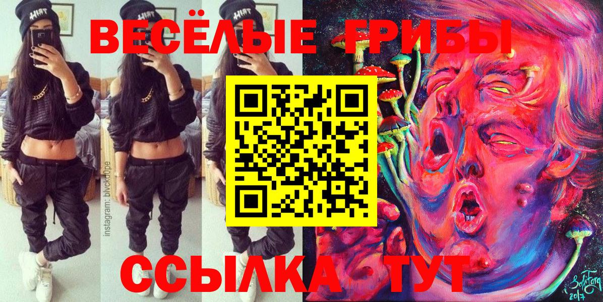 Чайковский  где купить   Вход с VPN  Галлюциногенные грибы Psilocybe  Псилоцибиновые грибы мухоморы 