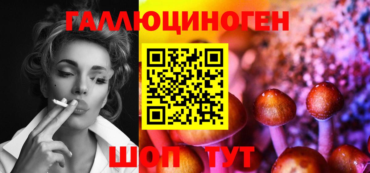 Псилоцибиновые грибы мицелий Чайковский